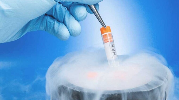 Dondurulmuş Embriyo Tedavisi Kaç Gün Sürer?